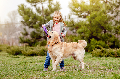 The Fairy Dogmother blog6 Leash Training Tips for a Well-Behaved Canine Companion blogs  